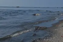 İSKİ Ambarlı Tesisine Marmara Denizi Deşarjı Nedeniyle Ceza
