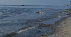 İSKİ Ambarlı Tesisine Marmara Denizi Deşarjı Nedeniyle Ceza
