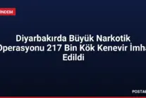 Diyarbakırda Büyük Narkotik Operasyonu 217 Bin Kök Kenevir İmha Edildi