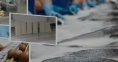 IPARD III Kapsamında Ağustos Ayı Destek Ödemeleri Tamamlandı