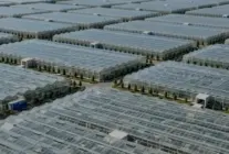 Silopi Sera Organize Tarım Bölgesi Ekonomiye 1 2 Milyar Lira Katkı Sunacak