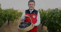 TMO Hububat Alımında Cumhuriyet Tarihi Rekorunu Kırdı