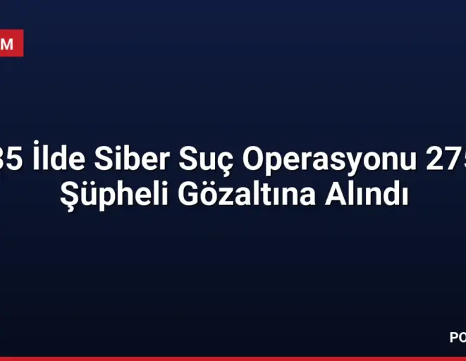 35 İlde Siber Suç Operasyonu 275 Şüpheli Gözaltına Alındı