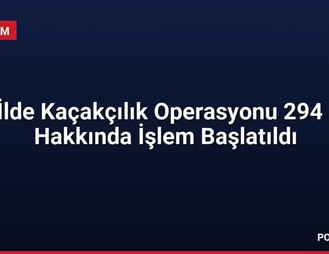 54 İlde Kaçakçılık Operasyonu 294 Kişi Hakkında İşlem Başlatıldı