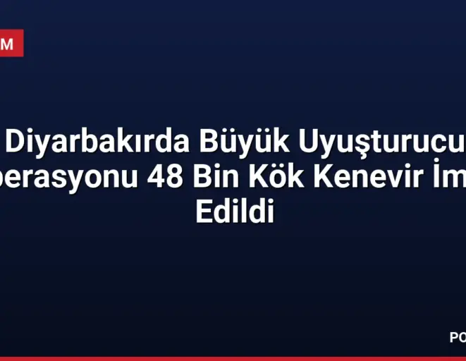 Diyarbakırda Büyük Uyuşturucu Operasyonu 48 Bin Kök Kenevir İmha Edildi