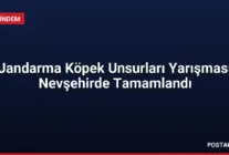 Jandarma Köpek Unsurları Yarışması Nevşehirde Tamamlandı