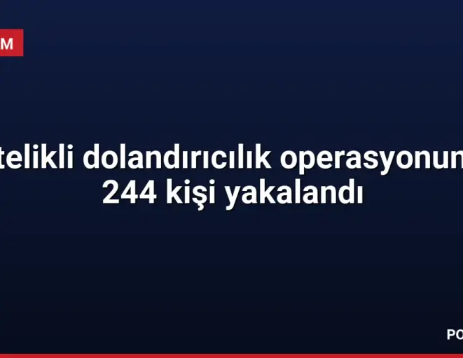 Nitelikli dolandırıcılık operasyonunda 244 kişi yakalandı