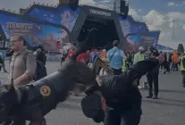 TEKNOFEST Güneydoğu'da JÖAK Operasyon Köpekleri Ziyaretçilerle Buluştu