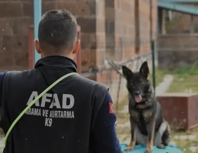 Van AFAD Arama Kurtarma Köpeklerini Afetlere Hazırlıyor