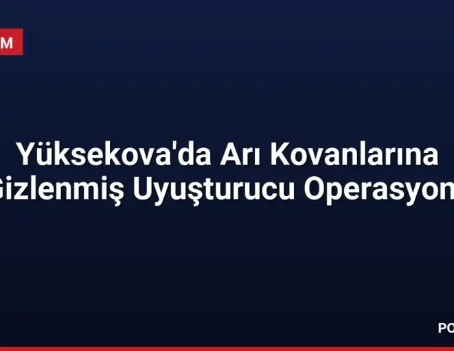 Yüksekova'da Arı Kovanlarına Gizlenmiş Uyuşturucu Operasyonu